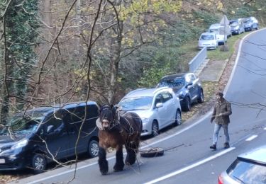 Randonnée Marche Gesves - de vallei van de Samson - Photo