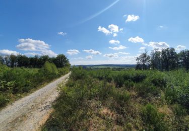 Trail Walking Saint-Hubert - rando ornitho arville 10/09/2020 - Photo