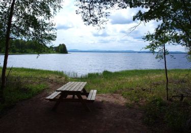 Tour Zu Fuß  - Lindängets Vandringsled - Photo