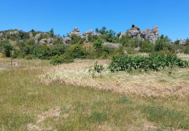 Tocht Stappen Saint-Félix-de-l'Héras - Saint-Félix de l'Heras - Photo