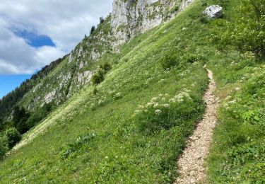 Randonnée Marche Saint-Pierre-de-Chartreuse - Col des Aures 8 km - Photo