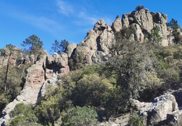 Tour Wandern Fréjus - Mont Vinaigre  - Photo