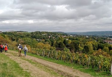 Tour Wandern Château-Thierry - Chateau-Thierry du 13/10/2022 - Photo