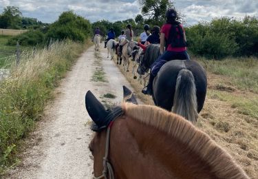 Tour sport Le Controis-en-Sologne - Rando Betty Feings - Photo