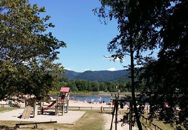 Tour Wandern Langstein - circuit poussette Le  tour  lac de Celles sur Plaine  - Photo