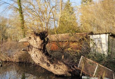 Trail Walking Ballancourt-sur-Essonne - Boucle Ballancourt 2 - Photo