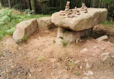 Tocht Stappen Bœrsch - boucle klingentgahl-heidenkopf-jardin de merlin - Photo