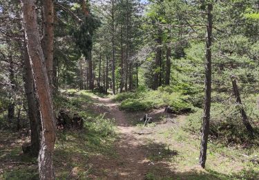 Trail Walking Château-Ville-Vieille - sommet buchet - Photo