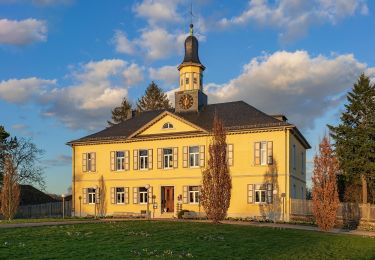 Tour Zu Fuß Bad Rappenau - Besinnungspfad - Photo