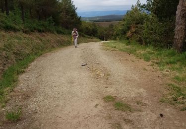 Trail Walking A Fonsagrada - Fonsagrada- Grandas de Salime - Photo