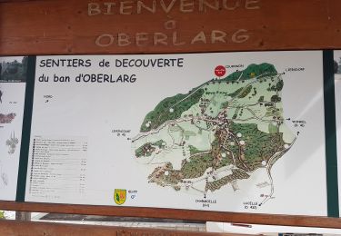 Trail Walking Oberlarg - Oberlarg - sa grotte - la ferme des Ebourbettes - le château de Morimont - Photo