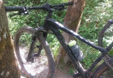 Trail Mountain bike Hastière - Agimont 37km 740+ - Photo
