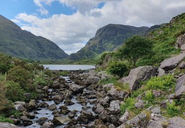 Trail Walking Kenmare Municipal District - Parc National Killarney - Photo