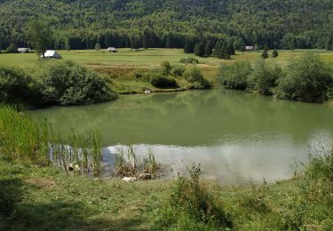 Trail Walking Arith - le vallon du mariet et le petit lac - Photo