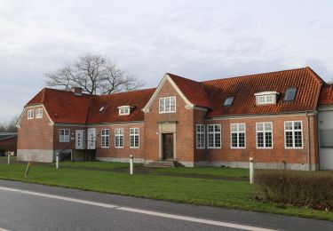 Tour Zu Fuß  - Kiskelund Plantage - Photo