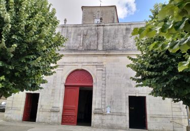 Randonnée V.T.T. Sainte-Marie-de-Ré - 17-VTT-Ste-Marie-la-flotte-15km - Photo