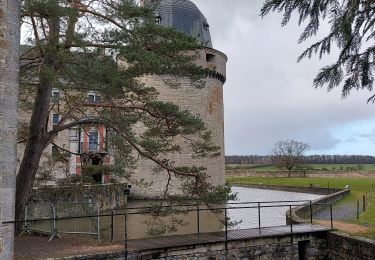 Randonnée Marche Rochefort - Lavaux Sainte Anne 130123 - Photo