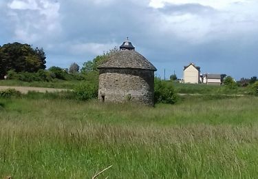 Randonnée Marche Saint-Coulomb - St COULOMB - de l'île Besnard à la pointe du Meinga - Photo