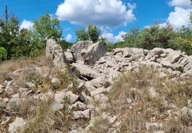 Randonnée Marche Saint-Paul-le-Jeune - Sentier des dolmens - Photo