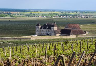 Tour Wandern Vougeot - 06 05 22 Vougeot Chambolle Musigny - Photo