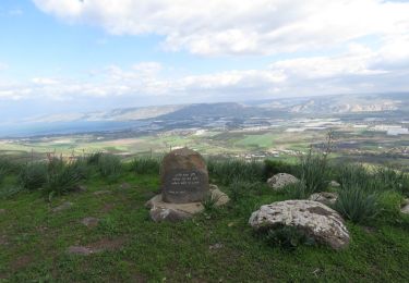 Excursión A pie מועצה אזורית עמק הירדן - ואדי אל ג'ורם - Photo