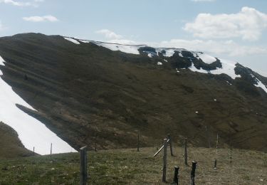 Excursión Senderismo Val-Maravel - Le Luzet - Montagne Chauvet (Val-Maravel en Diois)... - Photo