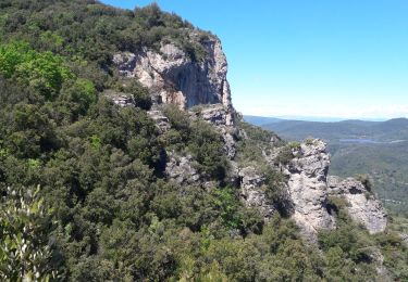 Tour Wandern Solliès-Toucas - belgentier - Photo