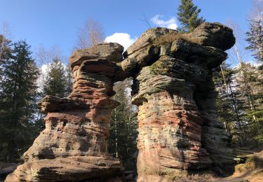 Tour Wandern Oberhaslach - Mais for nideck - rocher mutzig  - aub nideck - Photo