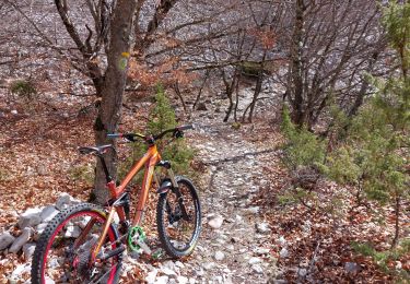 Trail Mountain bike Bédoin - Enduro ventoux Jas de Roubin - Photo