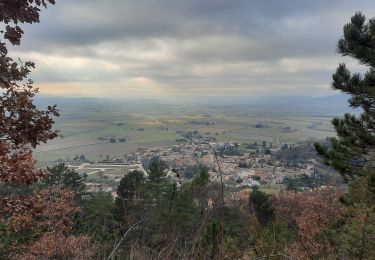 Randonnée Marche Puy-Saint-Martin - Puy St Martin La Pigne-Saudon 8,5km - Photo