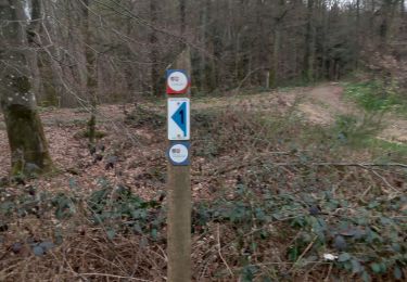 Tour Wandern Habscht - tunnel eischen beckriech - Photo