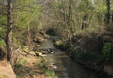 Randonnée A pied Thionville - En suivant le ruisseau Metzange de Volkrange au Parc Napoléon. - Photo