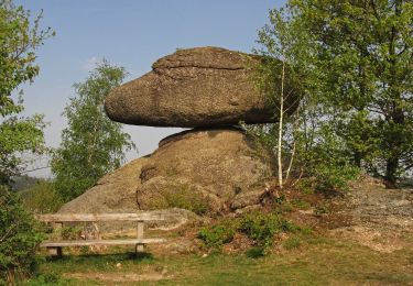 Randonnée A pied Tragwein - Mühlviertler Quell-Wanderweg - Photo