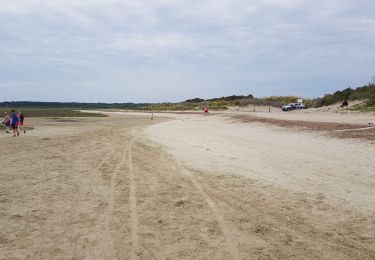 Trail Walking Le Crotoy - le crotoy, pointe à guille par la plage - Photo