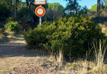 Tour Wandern Le Muy - corbie - Photo