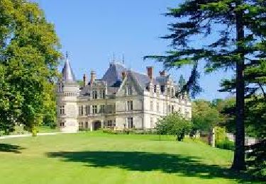 Excursión Senderismo Montlouis-sur-Loire - Montlouis-Bourdaisière - Photo