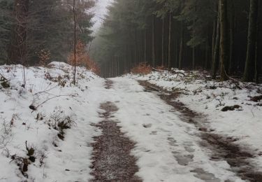 Tocht Stappen Bertrix - Randonnée à Bertrix  - Photo