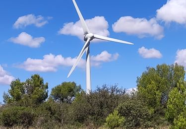 Excursión Senderismo Lézignan-Corbières - Lezignan - Photo