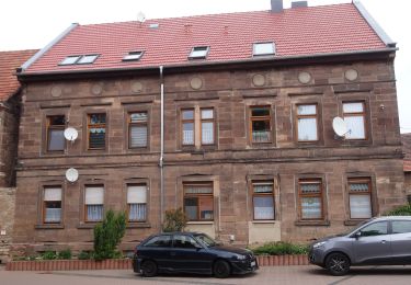 Tour Zu Fuß Roßleben-Wiehe - Sänger Rundweg - Photo