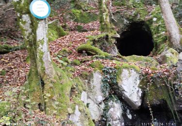 Randonnée Marche Rupt-sur-Moselle - rando rupt : parier, beluet, grotte de sauture  - Photo