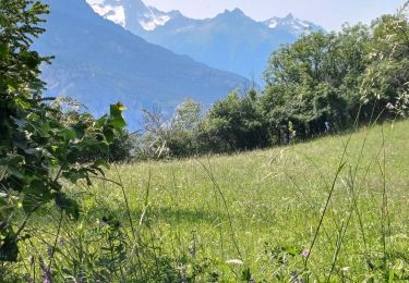 Trail Walking La Tour-en-Maurienne - Le Golet - Montandre- chapelle de Grenis - Photo