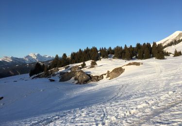 Excursión Raquetas de nieve La Clusaz - L’étale  - Photo