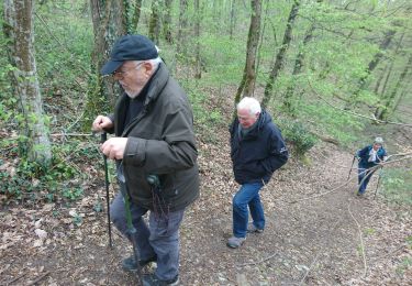 Trail Walking Fontainebleau - la mare aux fées 14 avril 20236 - Photo