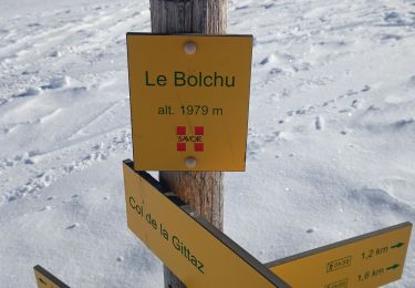 Percorso Sci alpinismo Hauteluce - tête de la Ruelle -Bolchu- col de la Gittaz  - Photo