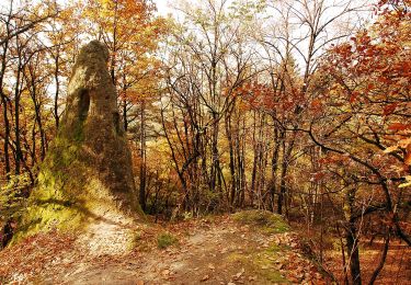 Percorso A piedi Cserépfalu - Ördögtorony tanösvény - Photo