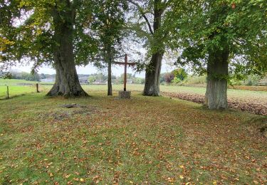 Tour Wandern Onhaye - RANDO ADEPS ANTHEE - Photo