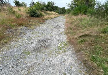 Trail Walking Fauvillers - Tintange 25,3 km - Photo