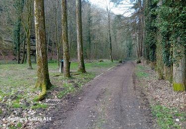Trail Walking Larochette - larochette sentier L2 - Photo