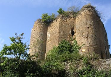 Randonnée A pied Theux - 39. Le Sentier de Chawion - Photo