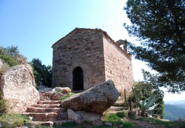 Randonnée A pied Olesa de Montserrat - PR-C 168 Camí de Vilalba - Photo